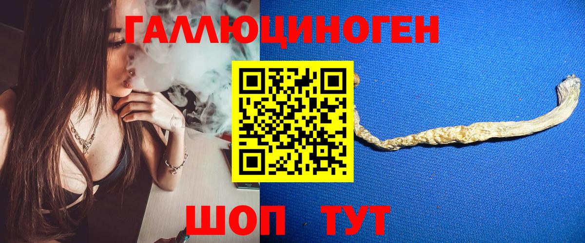 Псилоцибиновые грибы Psilocybe Ишим
